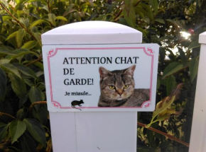 Ode au Bonheur St Georges sur Cher